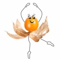 Intervallfasten 16/8 Fragen